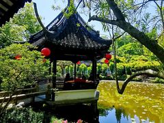 -上海醉白池公园