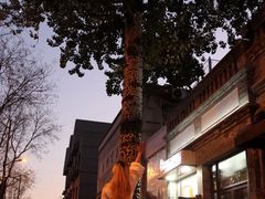 -鸿运诚羊蝎子·火锅(西单店)