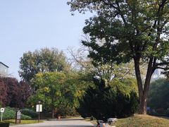 -元大都城垣遗址公园