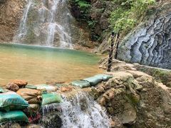 -南海湾森林生态园