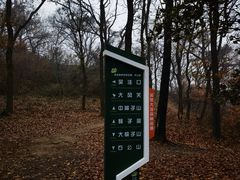 -老山国家森林公园