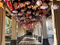 -海南清水湾莱佛士酒店