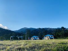 -海南热带雨林国家公园吊罗山景区