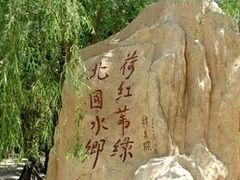 -白洋淀景区