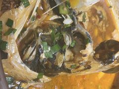 千岛湖鱼头-千岛湖小鱼儿·淳安匠心农家菜