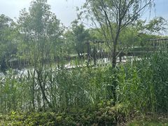 -长兴太湖图影湿地文化园