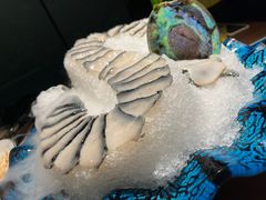 黑金鲍鱼-1718海鲜姿造(苏宁宴请臻选店)