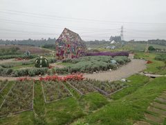 -紫颐香薰山谷景区