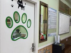-瑞鹏宠物医院·夜间急症·心超·猫科(祖庙分店)