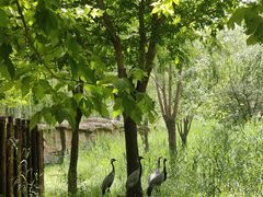 -北京野生动物园