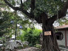 -东江渔村·古典园林·30年粤菜老字号(太和店)
