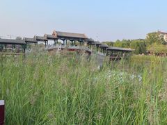 -西海子公园
