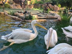 -常州淹城野生动物世界