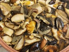 -野生菌火锅(菌王村店)