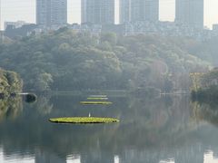 -重庆彩云湖湿地公园