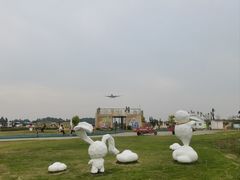 -空港花田景区