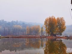 -西安浐灞国家湿地公园