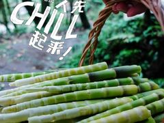 -龙苍沟森林公园