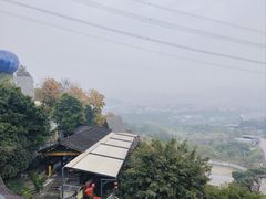 -巴倒烫陆派火锅山庄(南山总店)