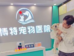 -博特宠物医院24h犬猫全科.骨科·异宠