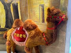 -巴依老爷新疆美食(天津远洋乐堤港店)