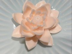 -上海大宁福朋喜来登酒店大堂吧(共和新路店)