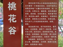 -南国桃园旅游度假区