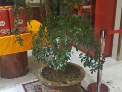 -胶东人家(奥体中心店)