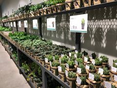 -鹿岛会员店 (龙湖三千集天街店)