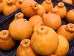 丑桔-盒马X会员店(王府井奥莱UP TOWN店)