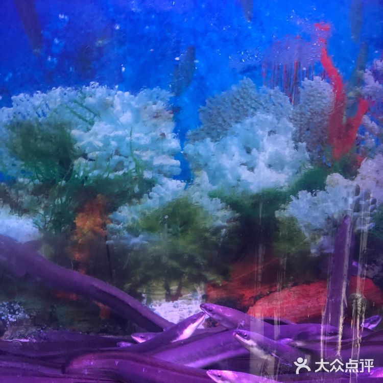 🎏十分鳗意日本料理·中山日料