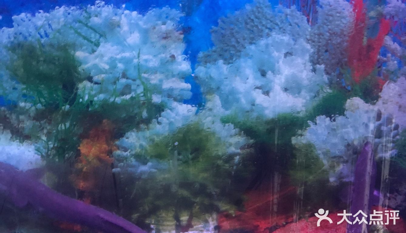 🎏十分鳗意日本料理·中山日料