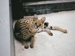 -北京野生动物园