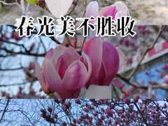 -物美超市(金宝街店)