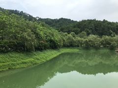 -乳源丽宫国际温泉酒店