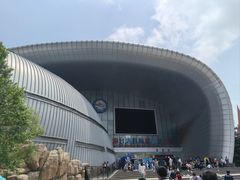 -烟台海昌鲸鲨海洋公园
