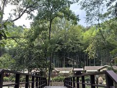 -五泄景区