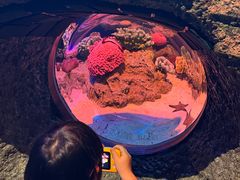 -暹罗海洋世界