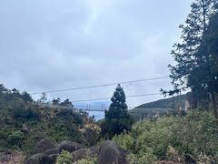 -玉苍山国家森林公园