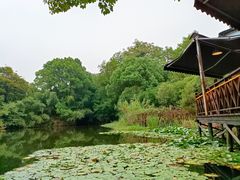 -张鸟园农家乐(张鸟园店)