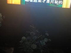 -黑桃K生日订制KTV