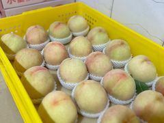 -老袁家蜜桃农场·阳山水蜜桃