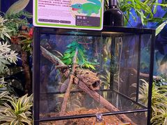 -正佳雨林生态植物园