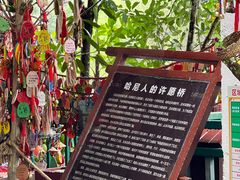 -西双版纳原始森林公园