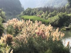 -天河潭旅游度假区