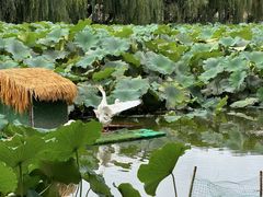 -滇池海埂公园