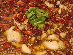 -郑州美盛喜来登大酒店