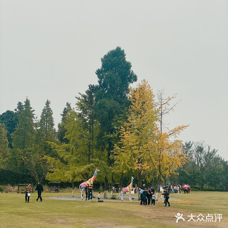 山生荟，中餐为主，人均60元左右，味道还行