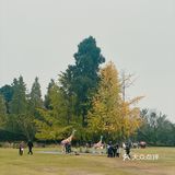 山生荟，中餐为主，人均60元左右，味道还行