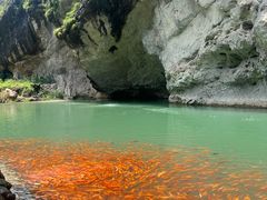 -楠溪江风景名胜区